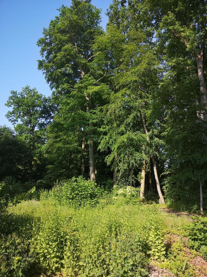 Gaestehaus Maria Rast Suderburg Kültér fotó