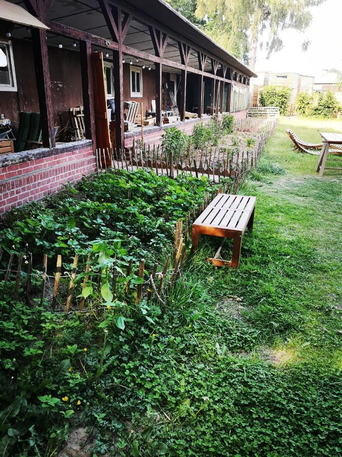 Gaestehaus Maria Rast Suderburg Kültér fotó
